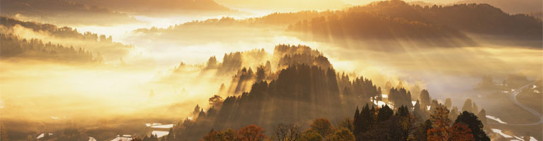 安沢正一 フォトギャラリー プロフィール