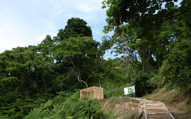 t11smp06_rimg0199.jpg