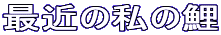 ŋ߂̎̌