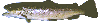 Xg}[N