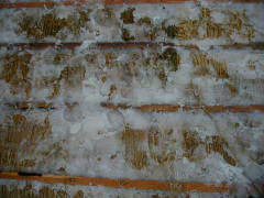 ��F�_�Ђ̐�