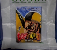 ���V�����T�C������u�������I�P�O�O���n�́v��P��