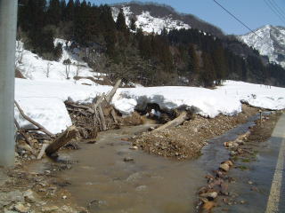 2005