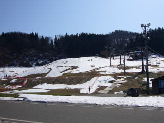 2007̖XL[