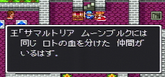 ドラゴンクエストⅡ-4